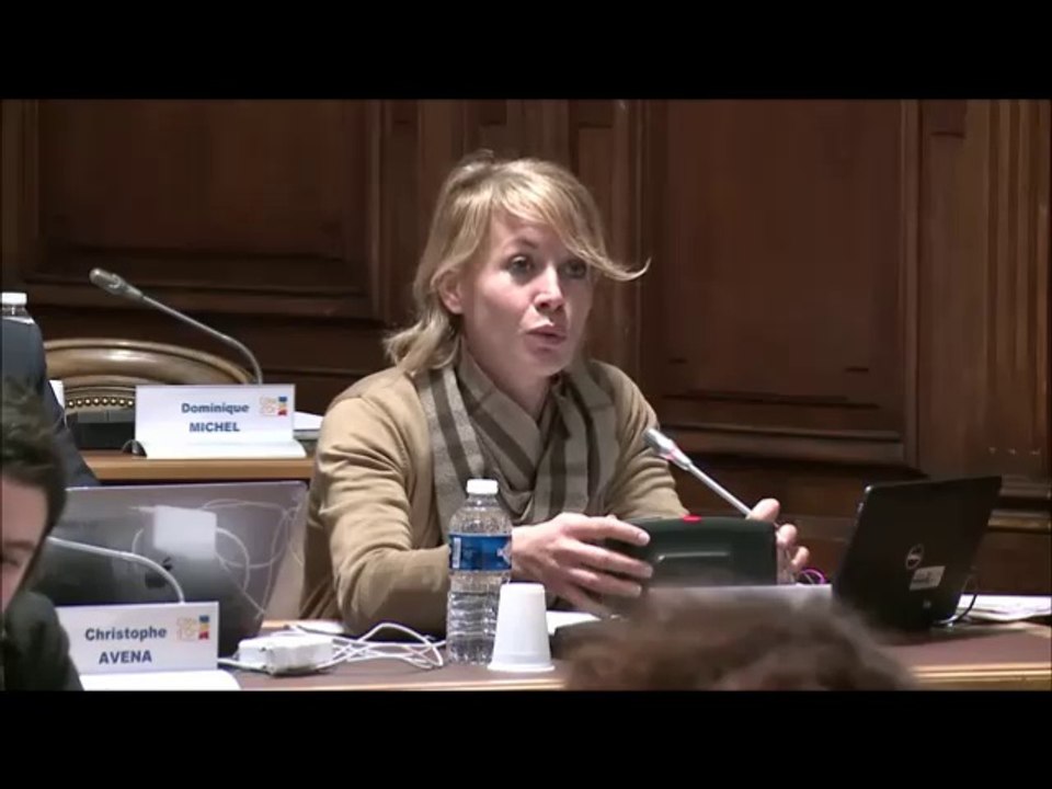 Nathalie KOENDERS. Egalité professionnelle Hommes-Femmes au sein du département. 27 novembre 2017