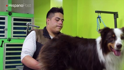 Conozca un sitio en el que harán sentir a su mascota como en casa