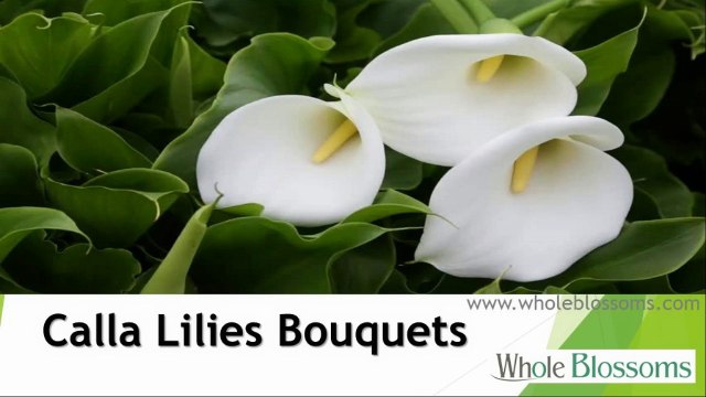 Calla Lilies Bouquets - wholeblossoms.com