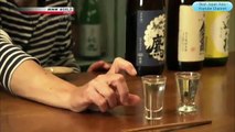 2017 NEW Japanology Plus: Yoram Ofer And Japanese Sake • Japanophiles