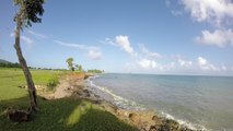 Video des îles de guadeloupe en Basse-Terre
