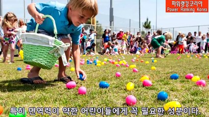 달걀 매일 먹으면 나타나는 효과 6가지