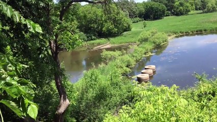 Organik vlog: Banned from the GUN RANGE❌❌❌