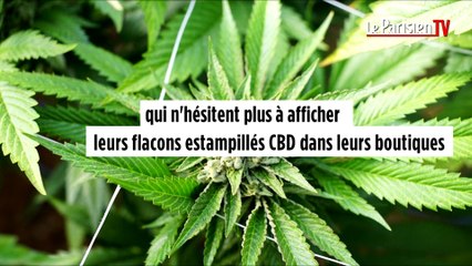 Cannabis : l'inquitant succs du joint lectronique