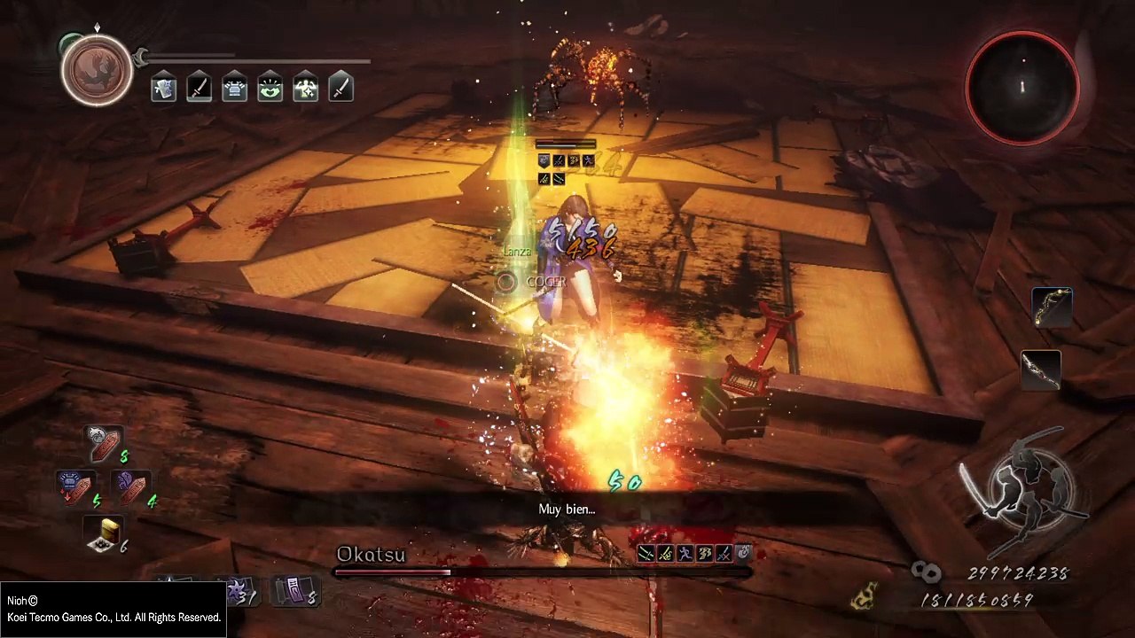 Nioh_Al estilo de iga