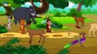 Jungle - Episode 3 - Hindi Stories for Kids - Panchatantra Hindi Kahaniyan for Children