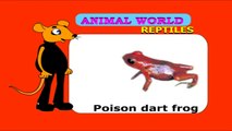 Jungle Animals - Animated Videos - Lessons For Primary School Education