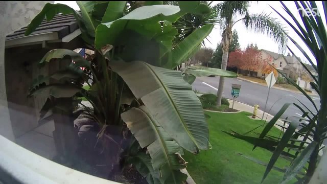 Teen Surprises Burglar, Chases Him Out of House