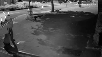 Kéo xác bạn gái trong vali đi vòng thành phố