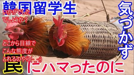 上から目線の韓国留学生、日本人のレポート奪還成功！実は巧妙な罠だったｗｗ発表当日盗作バレて・・・