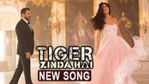 Salman Khan Katrina Kaif INTIMATE ROMANCE In Dil Diyan Gallan  Tiger Zindai Hai