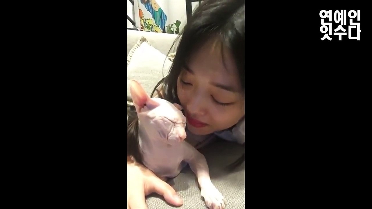 인스타 라이브에서 고양이 깨무는 설리(영상)