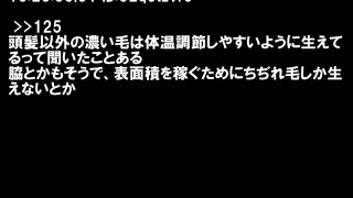 長年謎だった疑問を書くと誰かが答えてくれる