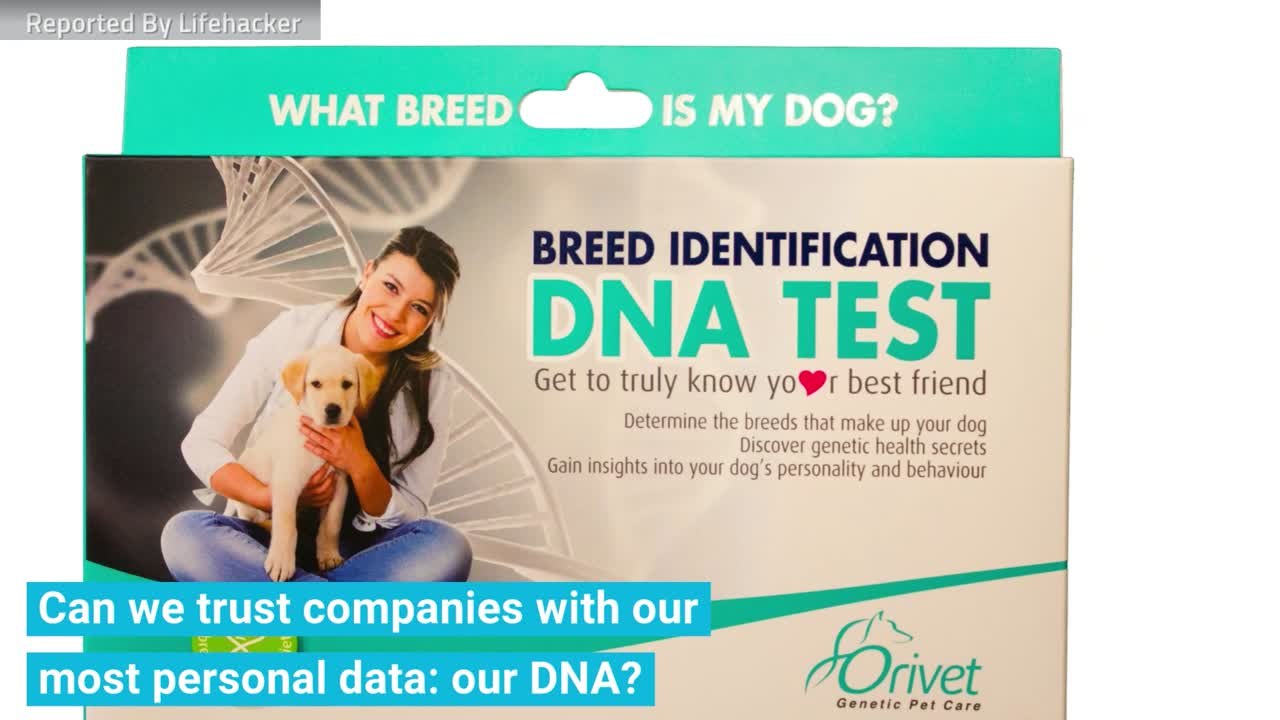 Here's Why You Should Rethink Gifting A DNA Test