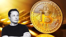 Dünyayı Sarsan İddia! Bitcoin'in Gizli Mucidi Elon Musk