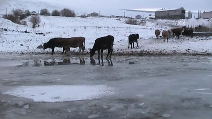 Aktaş Gölü Dondu