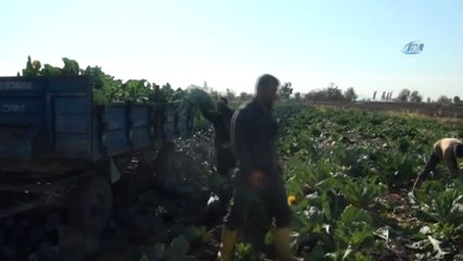 Çiftçiden İstihdam Seferberliğine Destek
