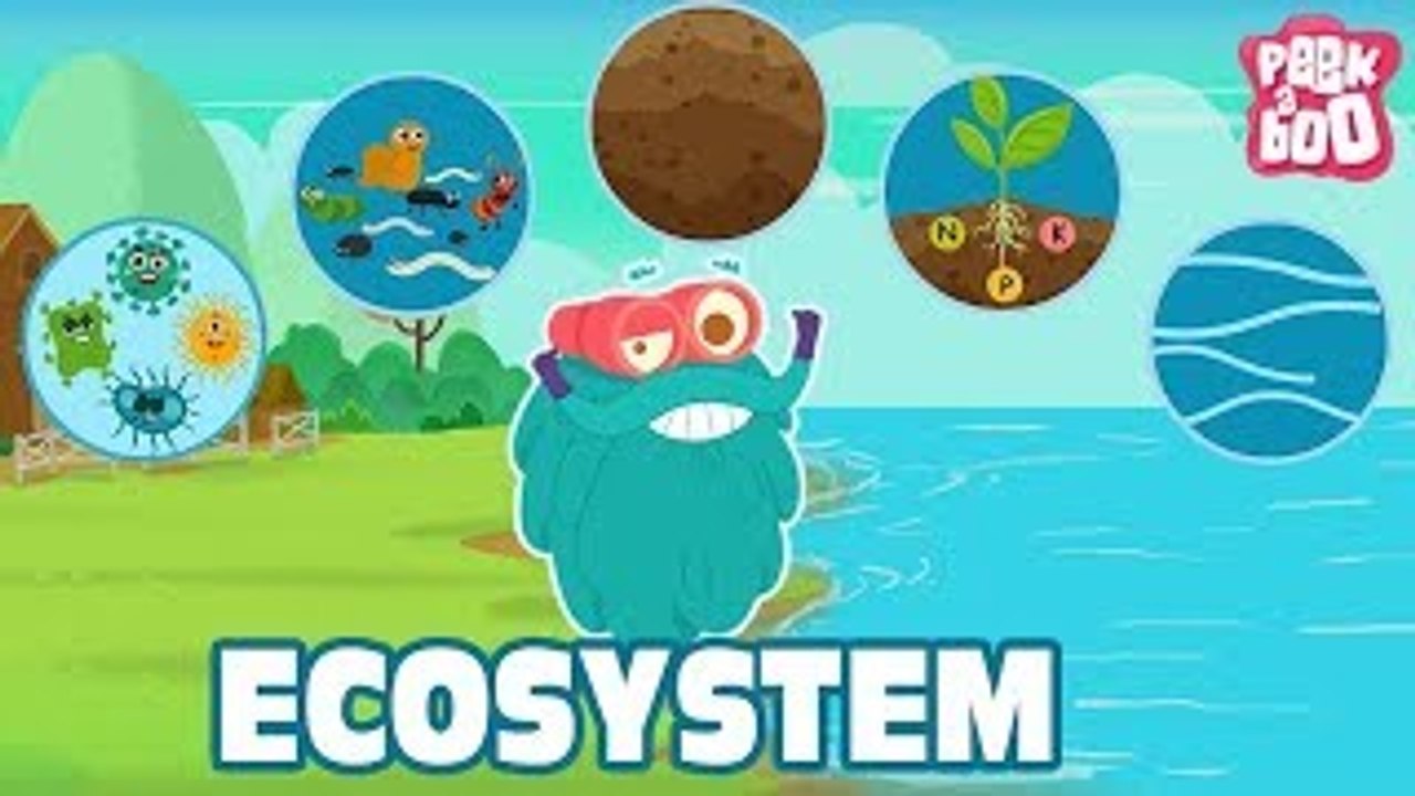 ECOSYSTEM - The Dr. Binocs Show | Best Learning Videos For Kids | Peekaboo Kidz