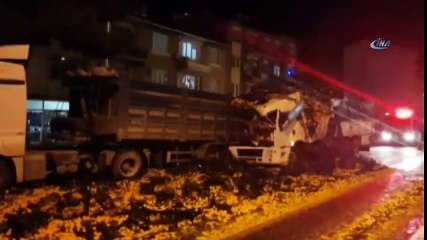 Tonlarca Mandalina Yola Döküldü