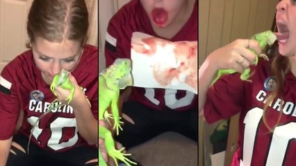 Une fille tire la langue à un iguane