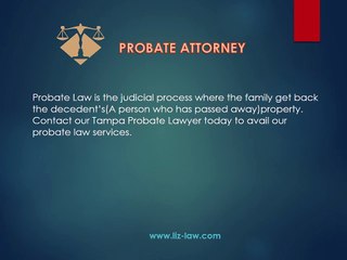 Tampa Probate Lawyer - Lizbeth Potts P.A