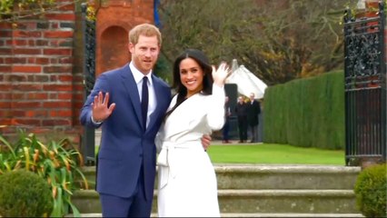 Prince Harry's mixed-race fiancee subject to 'wave of abuse'