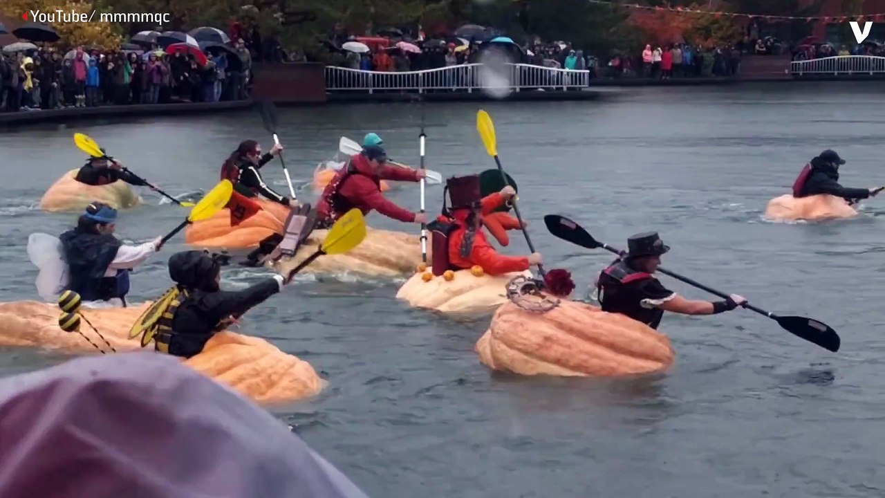 Giant Pumpkin Regatta Draws Gourd Racers To Oregon City Lake