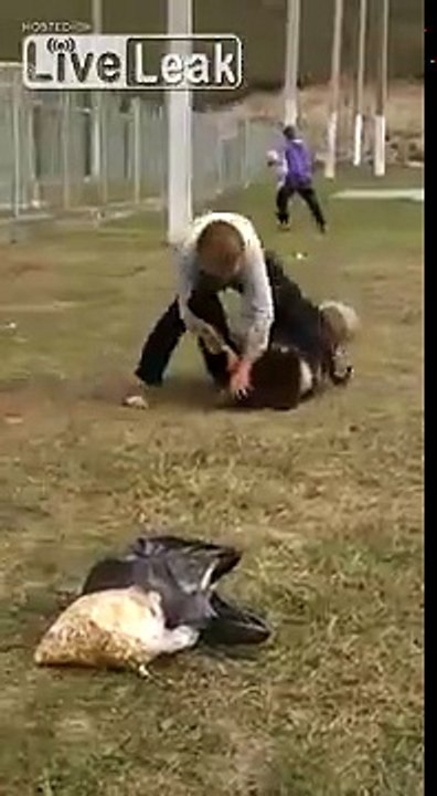 Man Cub vs Bear Cub