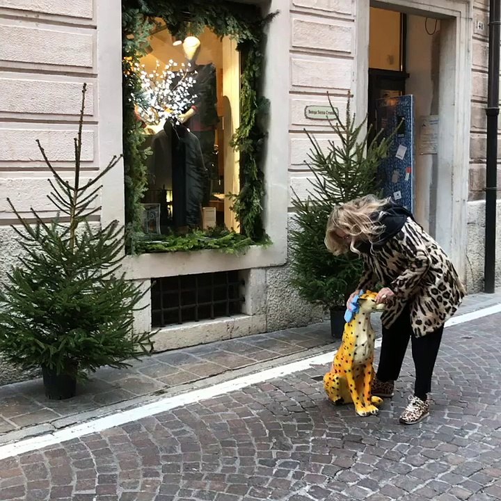 Confezioni montibeller: smacchio la tigre!!!