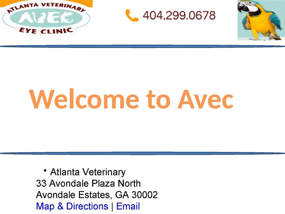 Animal ophthalmologist Atlanta