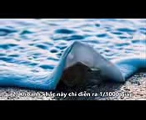 Những bức ảnh chứng tỏ thiên nhiên mới là  bậc thầy photoshop