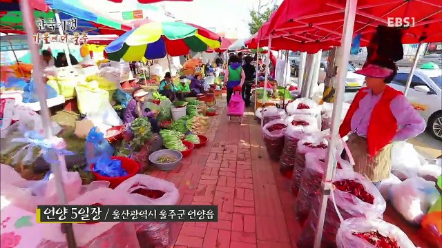 한국기행 - Korea travel_가을에 더 울주 2부 쇠전 열리는 날_#002
