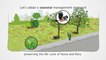 Ecological management: Let’s bring biodiversity to cities