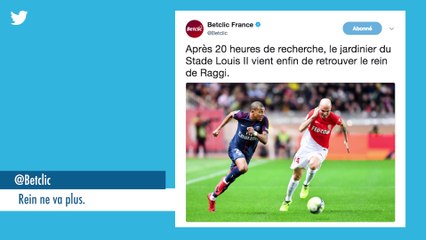 La revue de tweets du 28 novembre