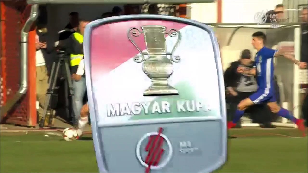 0-1 Ulysse Diallo Goal Hungary  Magyar Kupa  Round 3 - 28.11.2017 Kisvárda FC 0-1 Puskás Akadémia