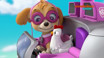 Paw Patrol : la Pat'Patrouille | La salade de fruits | NICKELODEON JUNIOR