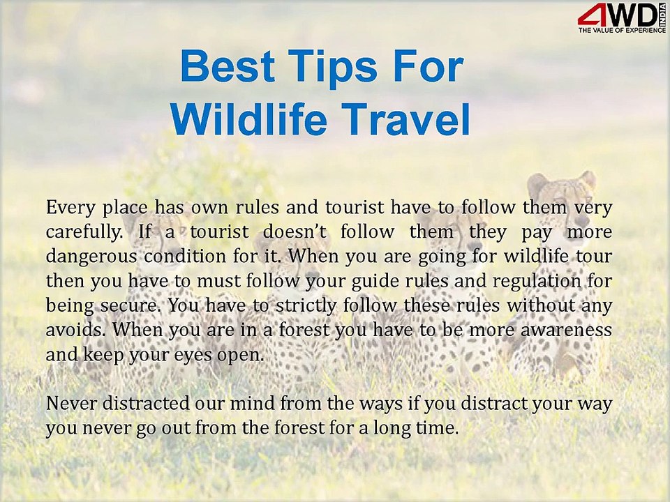 Best Tips For Wildlife Travel