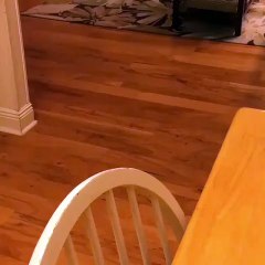 Kucing Lucu Sangat Menggemaskan Terbaru 2017 | #003