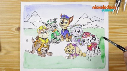 1, 2, 3… Coloriage ! | Paw Patrol : la Pat'Patrouille | A la campagne | NICKELODEON JUNIOR