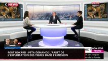 Fort Boyard : PETA demande l'arrêt de l'exploitation des tigres dans l'émission (vidéo)