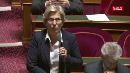 Le groupe PS du Sénat vote la hausse de la TVA du logement social à contre cœur