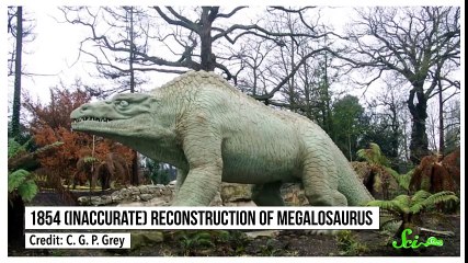 Could Dinosaurs Have Been Warm-Blooded