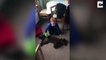 You’ve got a friend in me: Boy who ‘never had a friend’ finally finds pedigree chum in cockapoo pup