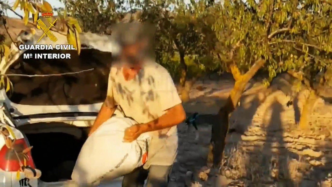 La Guardia Civil detiene en La Rioja a 7 personas por el robo de 194 toneladas de almendras