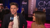 Niall Horan Clears Up Rap Battle With Louis Tomlinson