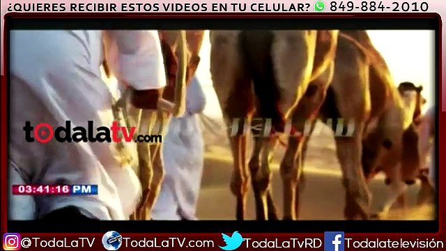 Rapera dominicana Cardi B logra 2 nominaciones a los Grammy Awards-Famosos Inside-Video