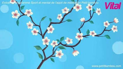 Une séance de méditation pour se préparer au sport_ (avec petit Bambou)
