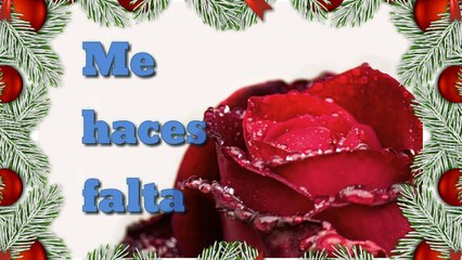 Te extraño, me haces falta. ama y Reflexiona
