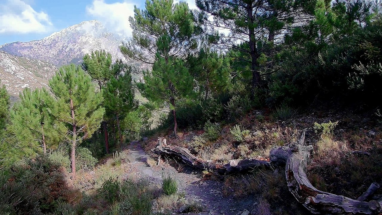 Venta Pradillos (Cómpeta, Málaga)