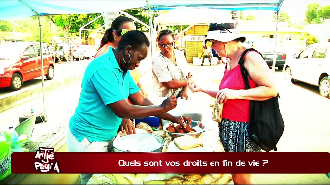 ATPA 05 12 17 DROITS FIN DE VIE JACQUELINE RENIA OK